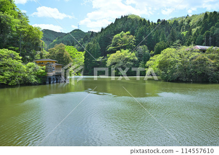 Lake Kamokita - Spring scenery with fresh greenery on the lakeside 114557610
