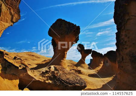 Taiwan Yuyin Geological Park 114557625