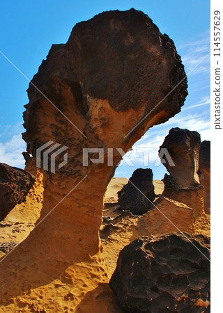 Taiwan Yuyin Geological Park 114557629