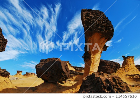 Taiwan Yuyin Geological Park 114557630