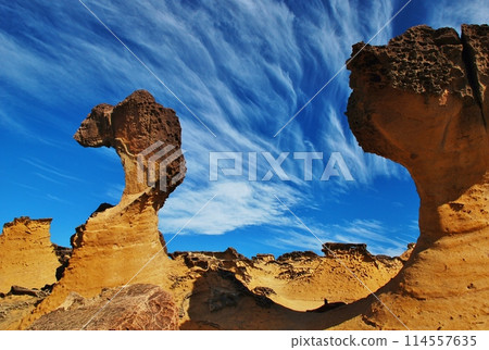 台灣育音地質公園 114557635