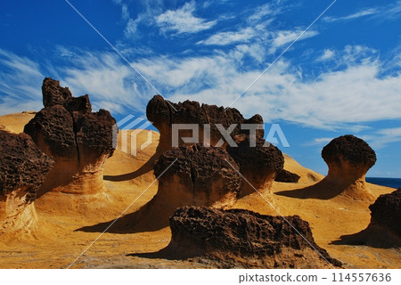 Taiwan Yuyin Geological Park 114557636