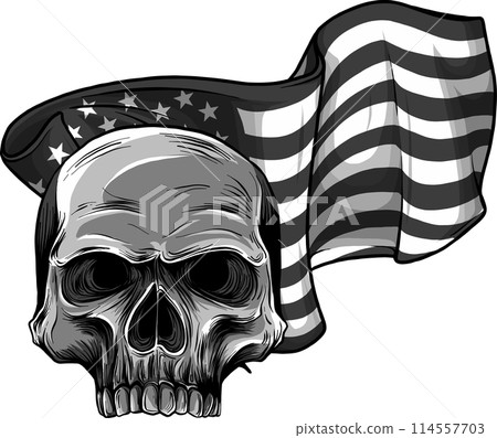 vector illustration of monochrome skull with usa flag on white background 114557703
