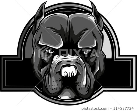 monochrome head pit bull logo icon designs vector illustration monochrome head pit bull logo icon designs vector illustration 114557724
