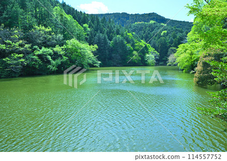 鐮北湖，新綠的湖畔，春天的景色 114557752