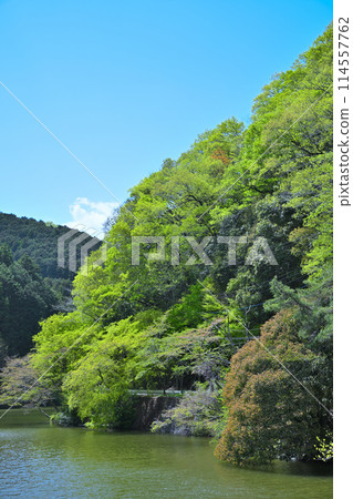 鐮北湖，新綠的湖畔，春天的景色 114557762