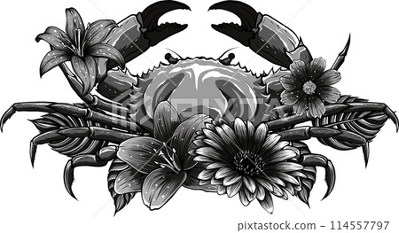 vector illustration of Monochrome Crab with flower vector illustration of Monochrome Crab with flower 114557797