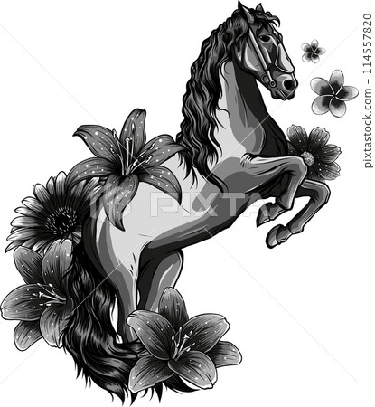 monochrome Beautiful horse with flower. Vector drawn illustration 114557820