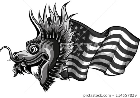 Dragon head with american flag on white background Dragon head with american flag on white background 114557829