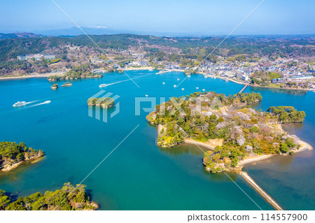 櫻花盛開的福浦島(宮城縣松島町)*右側 櫻花盛開的福浦島(宮城縣松島町)*右側 114557900