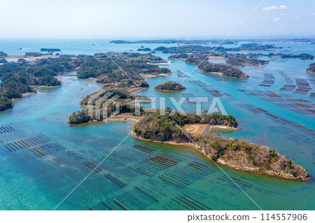春天的松島（宮城縣東松島市） 114557906