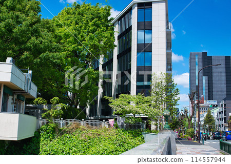 Tokyo: Scenery of the old Yamate-dori street and residential area 114557944