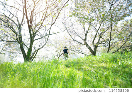 孩子的後視圖 114558306
