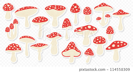 Vector Stickers with Hand Drawn Cartoon Fly Agaric Mushrooms. Amanita Muscaria, Fly Agaric Illustration, Mushrooms Collection. Magic Mushroom Set, Design Template Vector Stickers with Hand Drawn Cartoon Fly Agaric Mushrooms. Amanita Muscaria, Fly Agaric Illustration, Mushrooms Collection. Magic Mushroom Set, Design Template 114558309