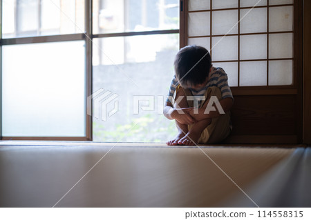 Japanese Style and Child 114558315