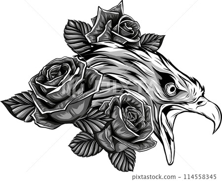 vector illustraion of monochrome eagle with flower roses 114558345