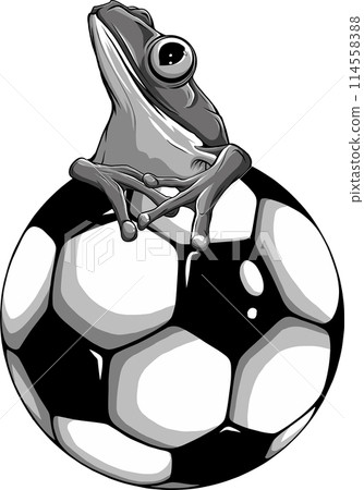 vector illustration of monochrome frog sitting on football ball 114558388