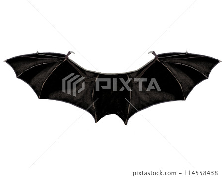 Bat Wing Bat Wing 114558438