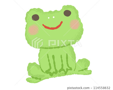 Hand-drawn style frog illustration 114558632