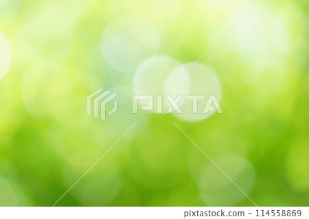 綠色背景照片,燈光重疊模糊 綠色背景照片,燈光重疊模糊 114558869