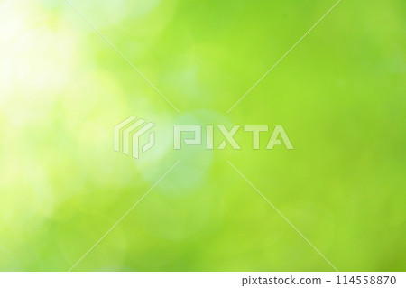 A photo of a green background with overlapping blurry lights 114558870