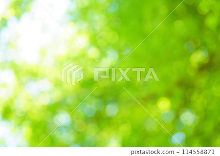 A photo of a green background with overlapping blurry lights A photo of a green background with overlapping blurry lights 114558871