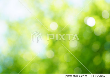 A photo of a green background with overlapping blurry lights A photo of a green background with overlapping blurry lights 114558872