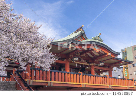 井原住吉神社櫻花盛開（大阪市西區九條） 114558897