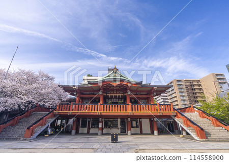 井原住吉神社櫻花盛開（大阪市西區九條） 114558900