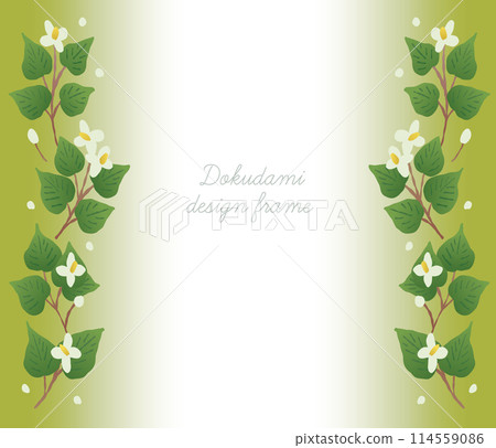 Houttuynia cordata frame Houttuynia cordata frame 114559086
