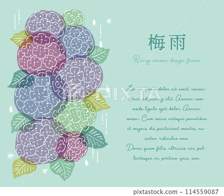 Hydrangea frame Hydrangea frame 114559087