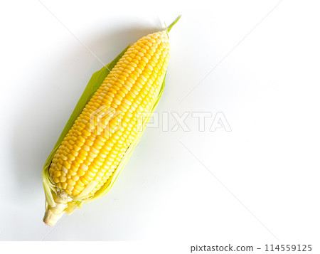 Fresh yellow corn isolated on white background Fresh yellow corn isolated on white background 114559125