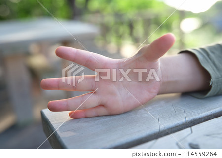 孩子的手 114559264