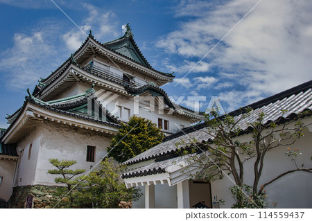Wakayama Castle, the residence of the Kishu Tokugawa clan, stands out against the blue sky 114559437