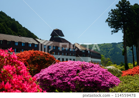 箱根蔦山花園酒店(神奈川縣) 箱根蔦山花園酒店(神奈川縣) 114559478