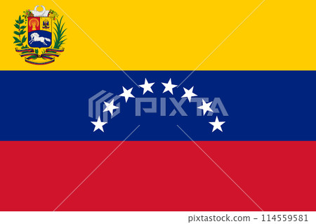 Venezuelan flag (government and military) 114559581
