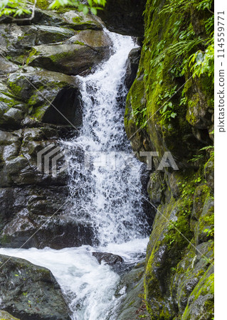 鳥取縣小屋馬溪泉谷的清流 114559771