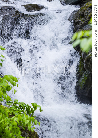 鳥取縣小屋馬溪泉谷的清流 114559773
