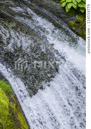 Spring in the valley: Oyabakei, Tottori Prefecture 114559779