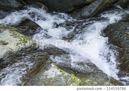 Spring in the valley: Oyabakei, Tottori Prefecture Spring in the valley: Oyabakei, Tottori Prefecture 114559786