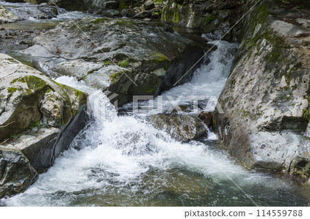 Spring in the valley: Oyabakei, Tottori Prefecture Spring in the valley: Oyabakei, Tottori Prefecture 114559788