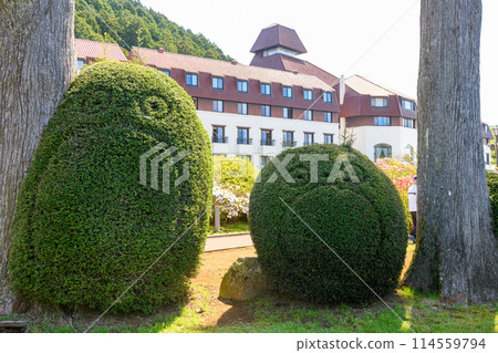 箱根（神奈川縣）山間飯店的杜鵑花園中的綠色植物 114559794