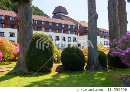 Topiary in the Azalea Garden at Yamano Hotel (Kanagawa Prefecture) Topiary in the Azalea Garden at Yamano Hotel (Kanagawa Prefecture) 114559796
