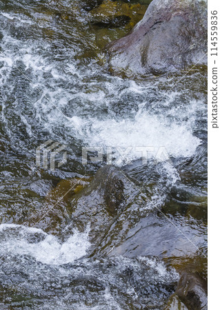 鳥取縣小屋馬溪泉谷的清流 114559836