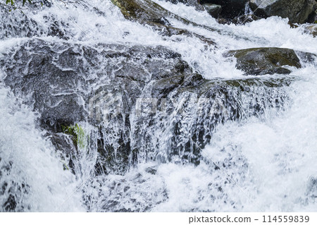 Spring in the valley: Oyabakei, Tottori Prefecture Spring in the valley: Oyabakei, Tottori Prefecture 114559839