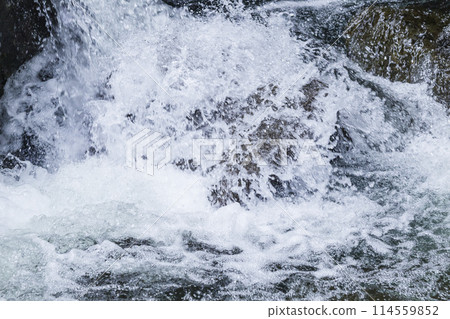 Spring in the valley: Oyabakei, Tottori Prefecture Spring in the valley: Oyabakei, Tottori Prefecture 114559852