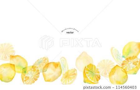 水彩。檸檬向量插畫與水彩觸感。夏季水彩檸檬插圖。清爽夏日檸檬圖案。 水彩。檸檬向量插畫與水彩觸感。夏季水彩檸檬插圖。清爽夏日檸檬圖案。 114560403