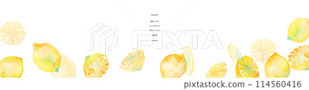 水彩。檸檬向量插畫與水彩觸感。夏季水彩檸檬插圖。清爽夏日檸檬圖案。 114560416