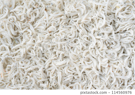 Shirasu Background Shirasu Background 114560976