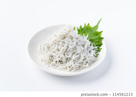 白砂 白砂 114561213